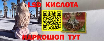 гидропоника Краснознаменск