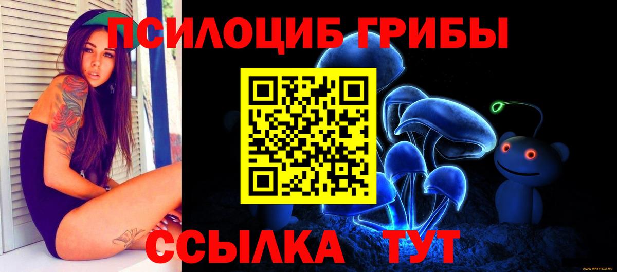 Галлюциногенные грибы Cubensis Кемерово