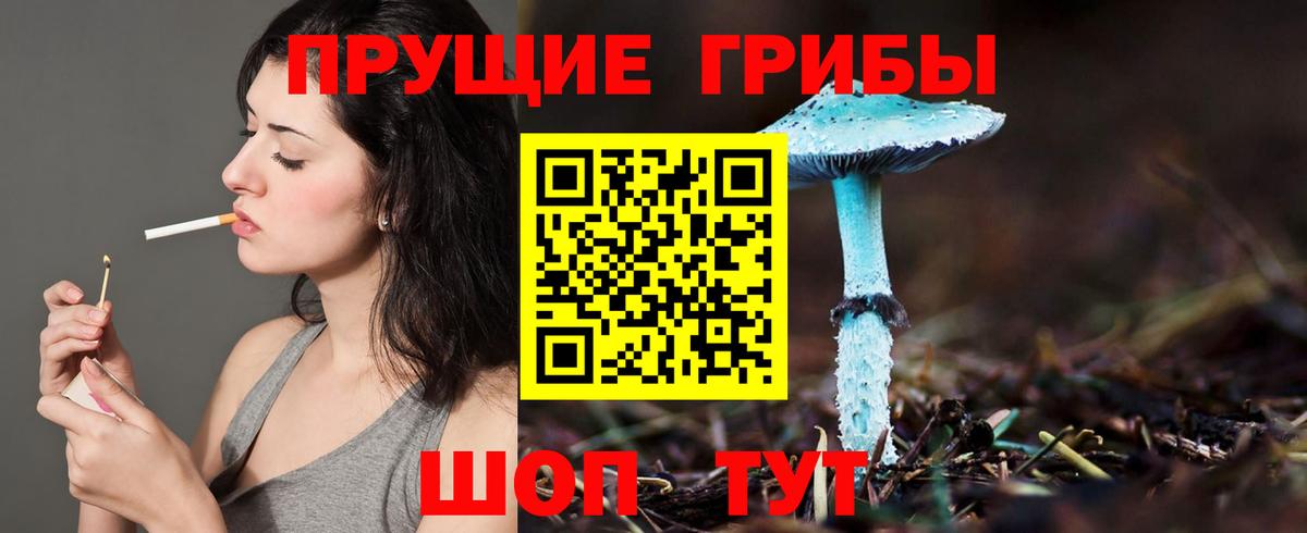 Кемерово  Галлюциногенные грибы Magic Shrooms  Вход с VPN  Псилоцибиновые грибы мицелий 